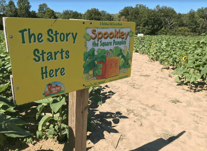 Blooms and Berries Fall on the Farm Features Spookley the Square Pumpkin Storybook Trail