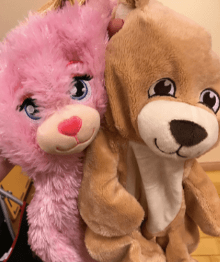 Build-a-Bear Workshop Pay Your Age Day Unstuffed Bears