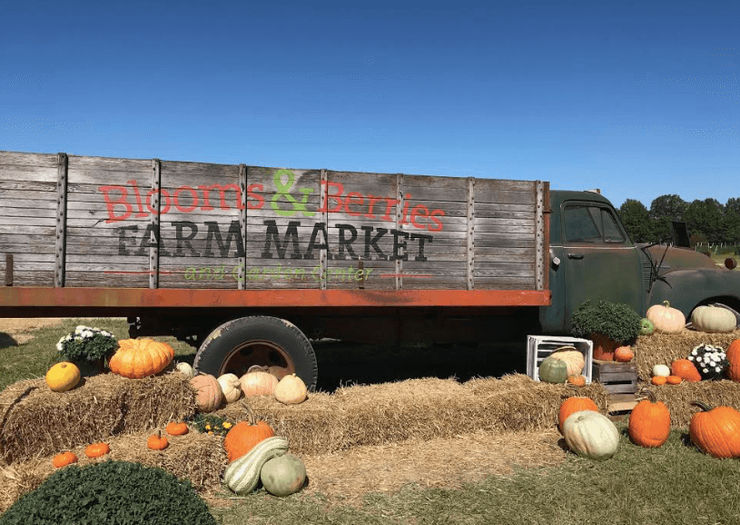 Blooms & Berries Located in Loveland, OH now open for Fall on the Farm
