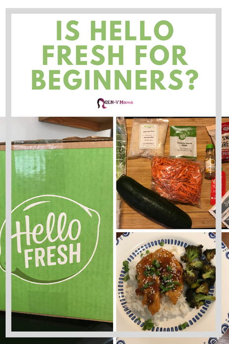 Is Hello Fresh for Beginners?