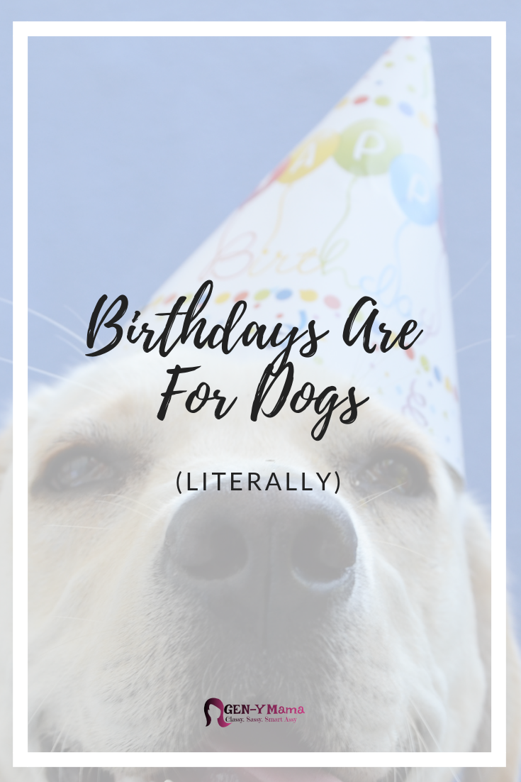 How to Throw a Birthday Party for a Dog