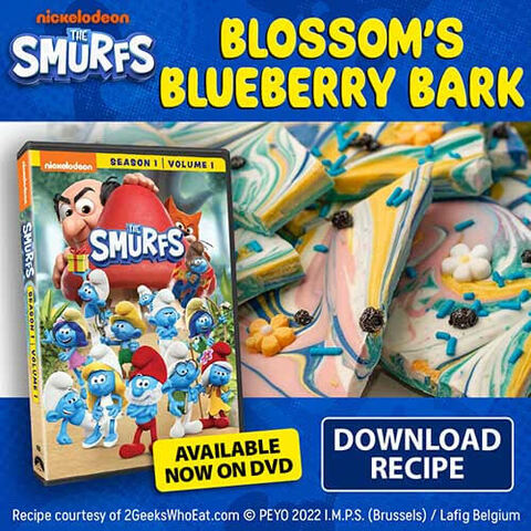 The Smurfs Season 1 Vol DVD | Smurfified Bark Treat