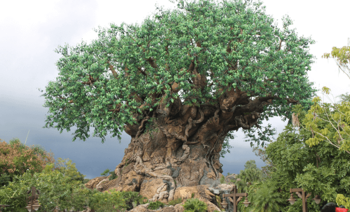 WDW May 2021 Announcements | Capture Your Moment Photo Sessions Headed to Animal Kingdom