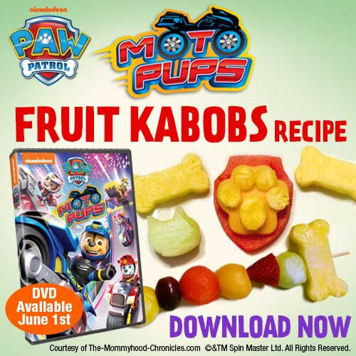 PAW Patrol Moto Pups Fruit Kabobs