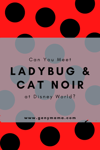 Can you meet Ladybug and Cat Noir at Disney World?
