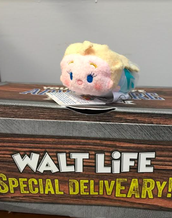 Walt Life Box Review Elsa Tsum Tsum