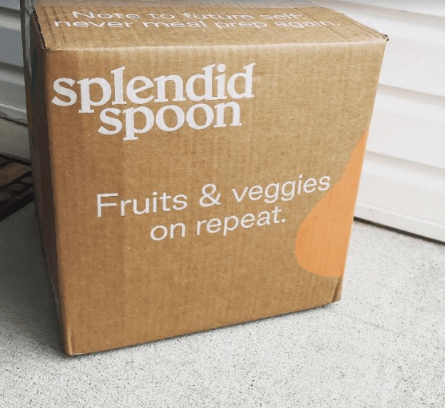 Splendid Spoon Review | Ready to Eat, Vegan, Gluten-Free and GMO-Free Meals